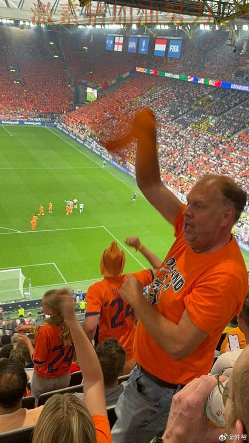 荷兰防守稳固让球迷期待值迅速拉满