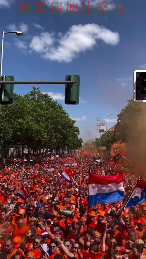 荷兰防守稳固让球迷期待值迅速拉满