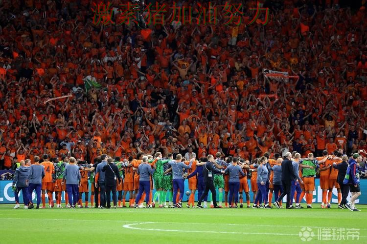 荷兰防守稳固让球迷期待值迅速拉满