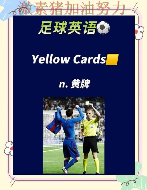 法甲关键判罚引争议引发热议 法甲关键判罚引争议引发热议